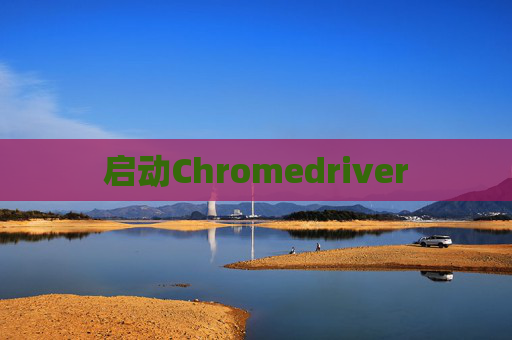 启动Chromedriver