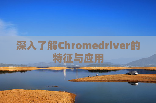 深入了解Chromedriver的特征与应用
