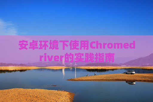 安卓环境下使用Chromedriver的实践指南