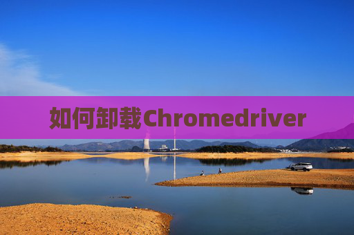 如何卸载Chromedriver